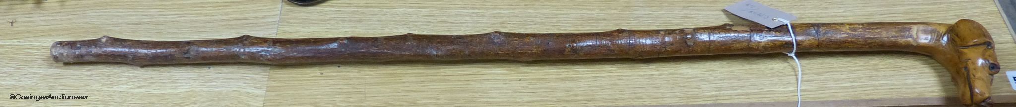A carved walking stick in the form of a dog's head with glass eyes
